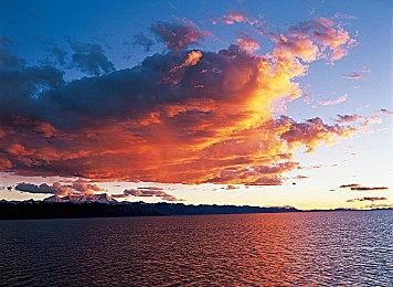 科比布莱恩特再次成为《NBA 2K24》封面球星